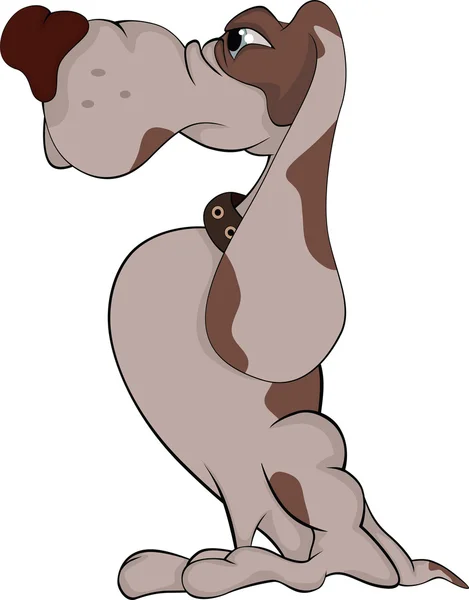 狩猟犬です。バセットハウンド。漫画 — ストックベクタ