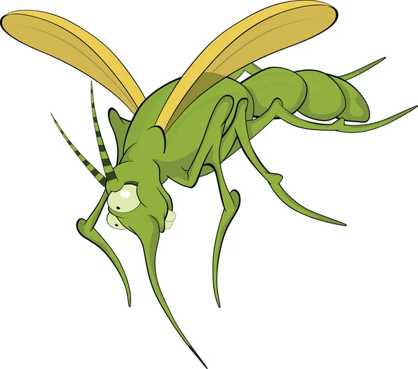 Fruktansvärda mygga. Cartoon — Stock vektor