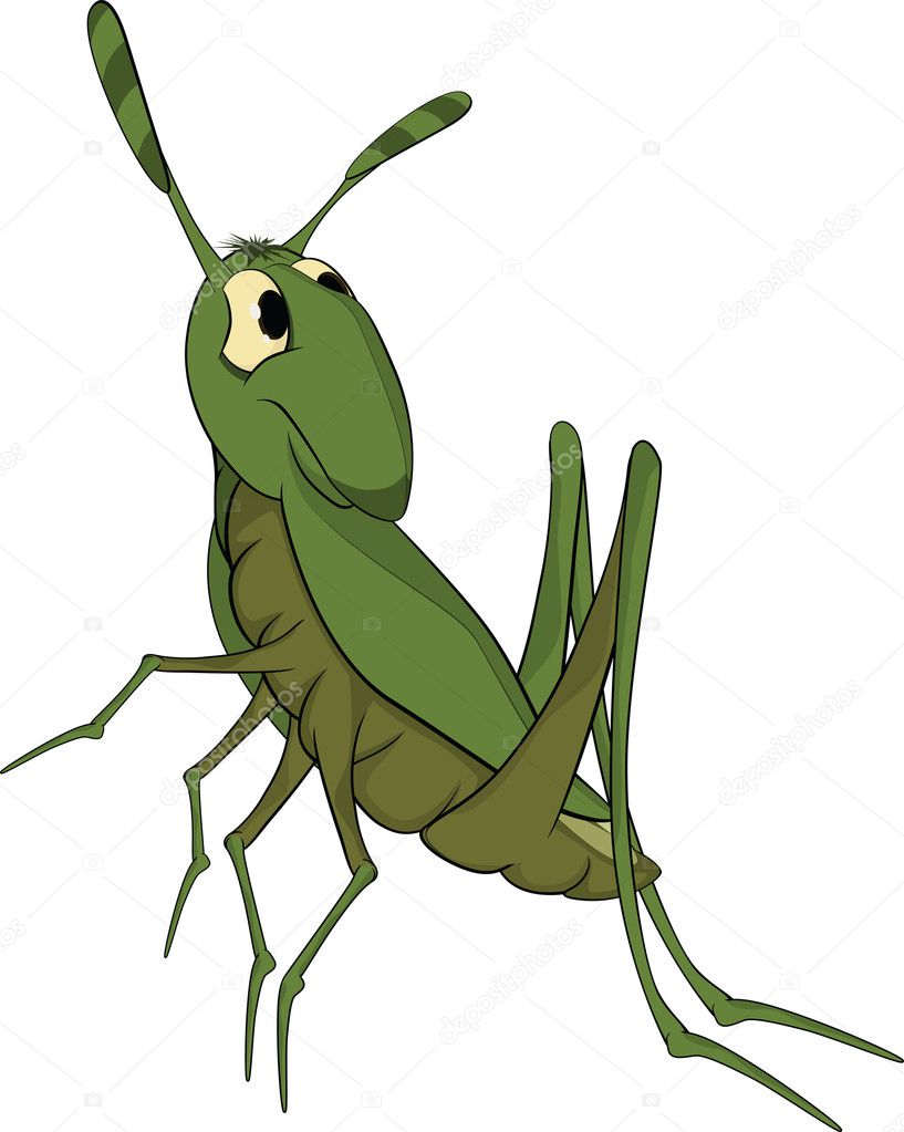 Green grasshopper. Cartoon