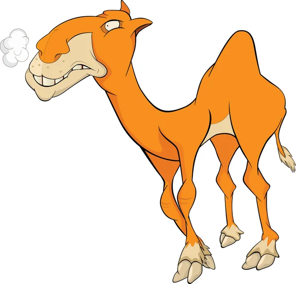 Kamel. Karikatur — Stockvektor
