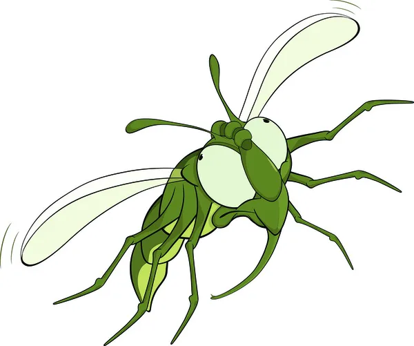 The scared green fly.Cartoon — Stock Vector