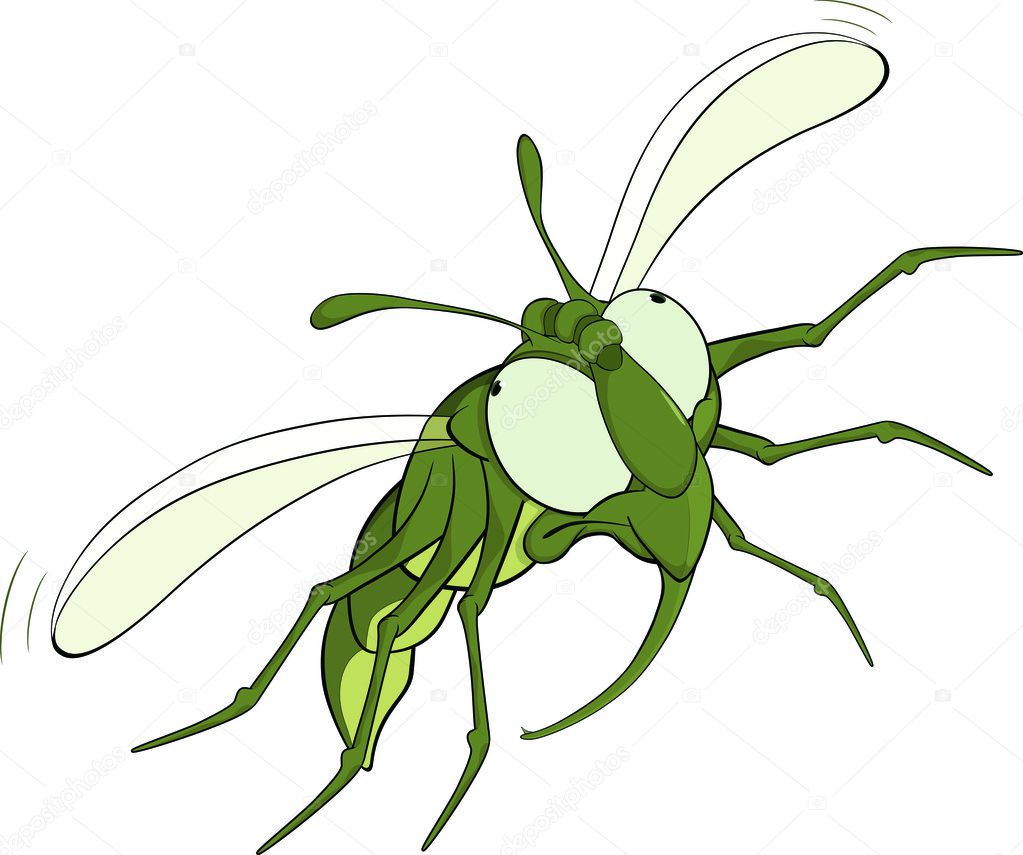 The scared green fly.Cartoon