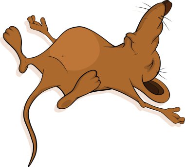 Sleeping little mouse. Cartoon clipart