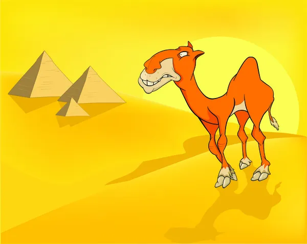 Camel in desert. Pyramids. Cartoon — Stock Vector