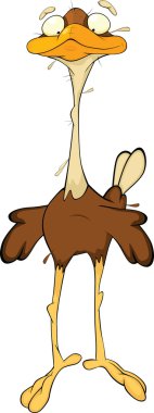 Ostrich clipart