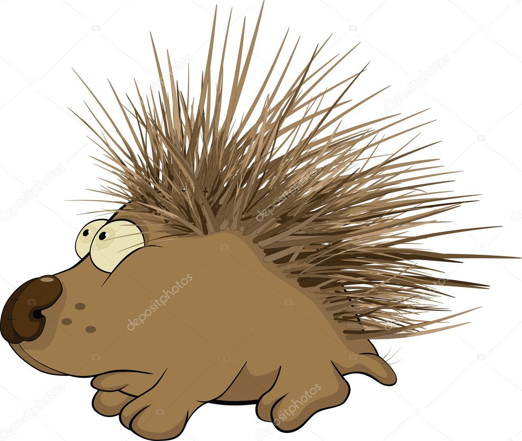 Small hedgehog. Cartoon