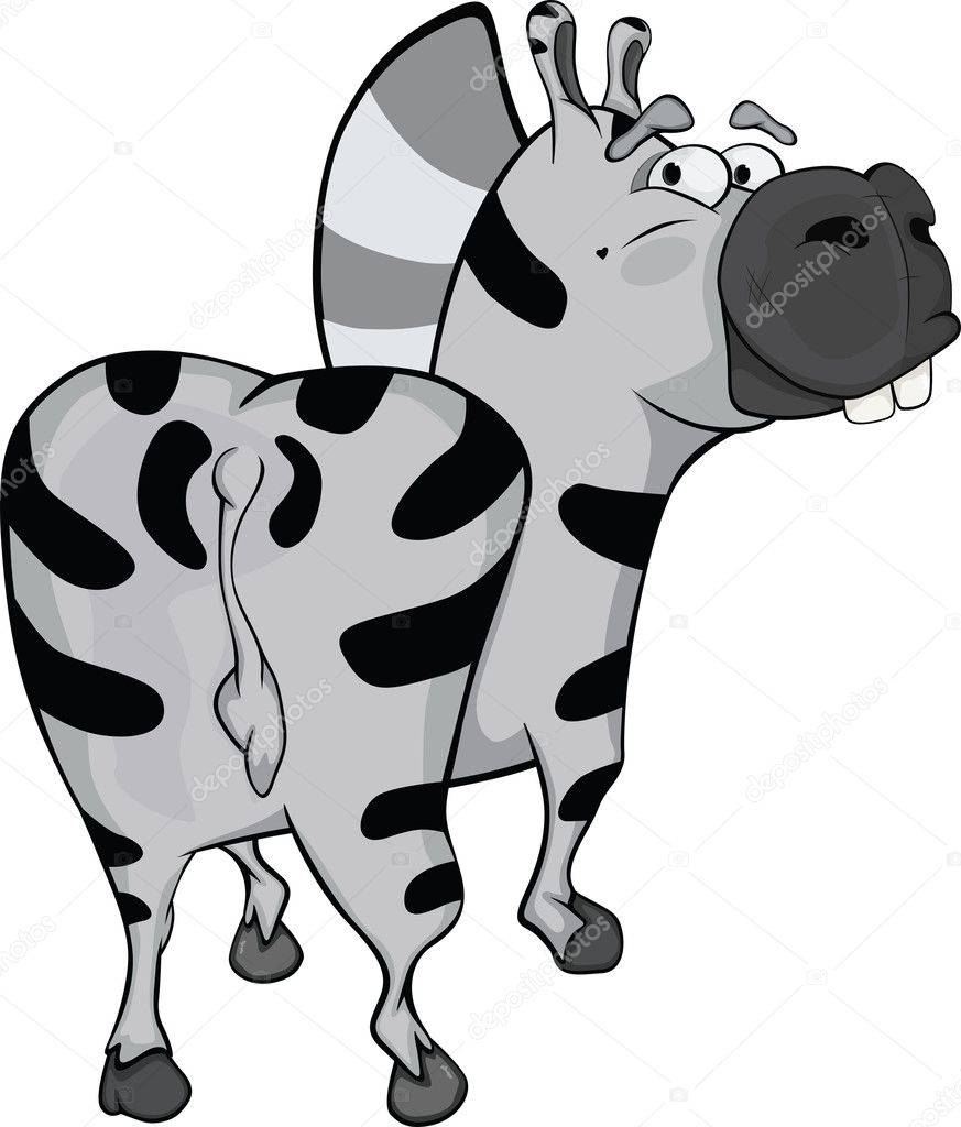 Zebra. Cartoon