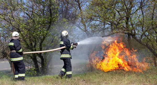 Tűzoltók — Stock Fotó