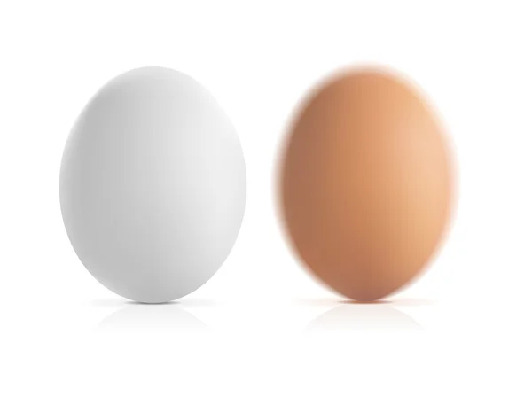 Bruine en witte vector eieren — Stockvector