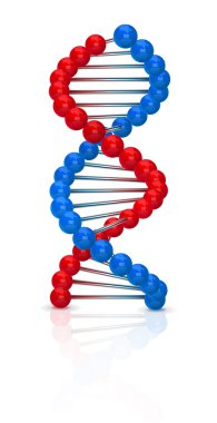 DNA illüstrasyon