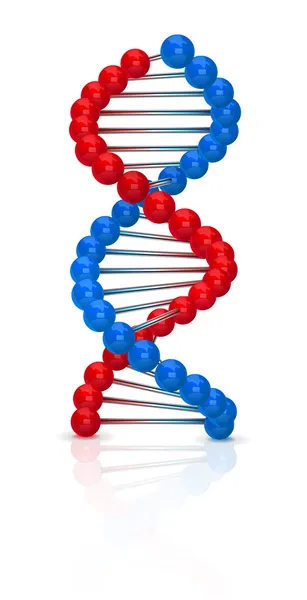 DNA illüstrasyon — Stok Vektör