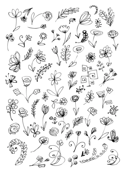 Bosquejo de elementos florales para su diseño — Archivo Imágenes Vectoriales