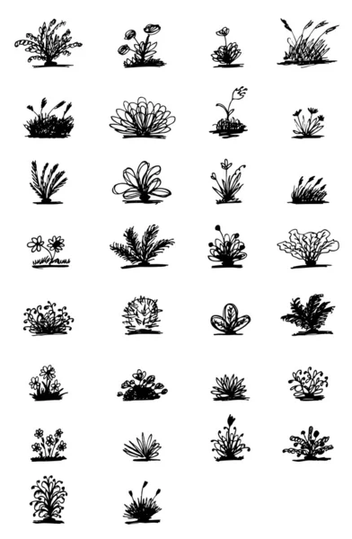 Tasarımınız için bitkilerin 30 kroki — Stok Vektör