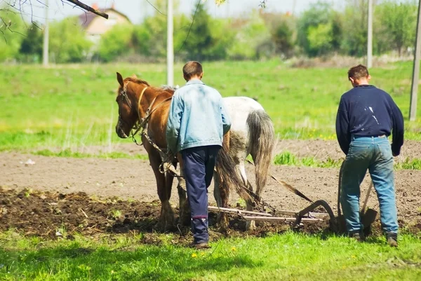 Plowing il campo — Foto Stock