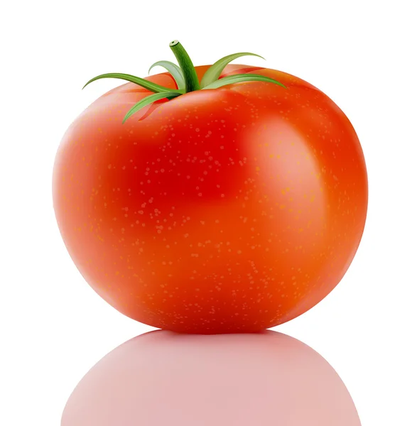 Красный фермовый помидор — стоковое фото