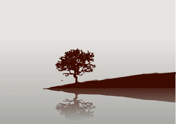 Réflexions sur l'eau — Image vectorielle