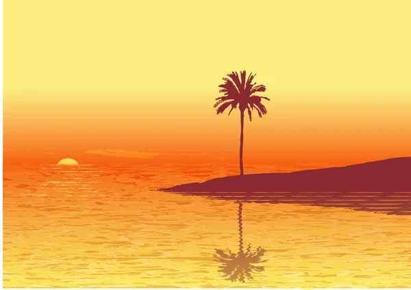 Tropik sahil — Stok Vektör