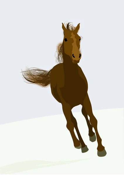 Скаковая лошадь — стоковый вектор