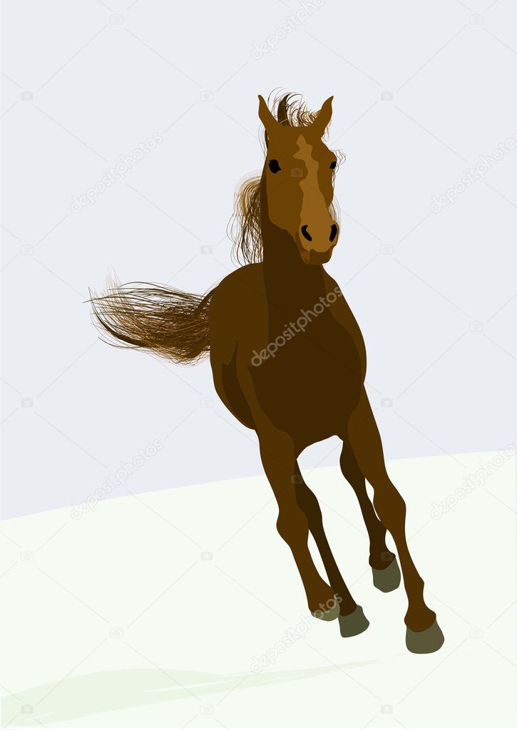 Race-horse