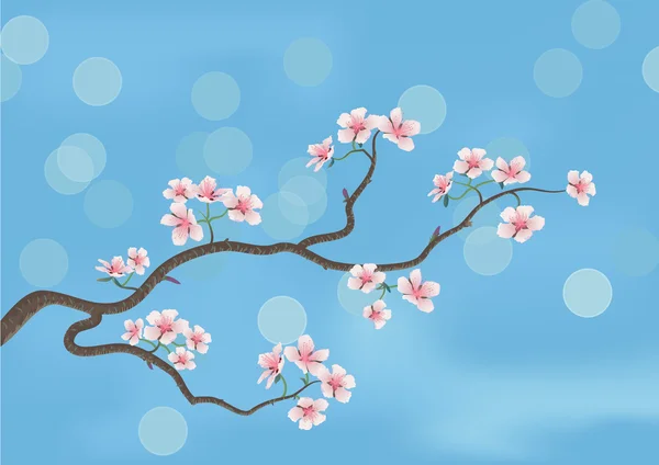 Sakura fiorita — Vettoriale Stock