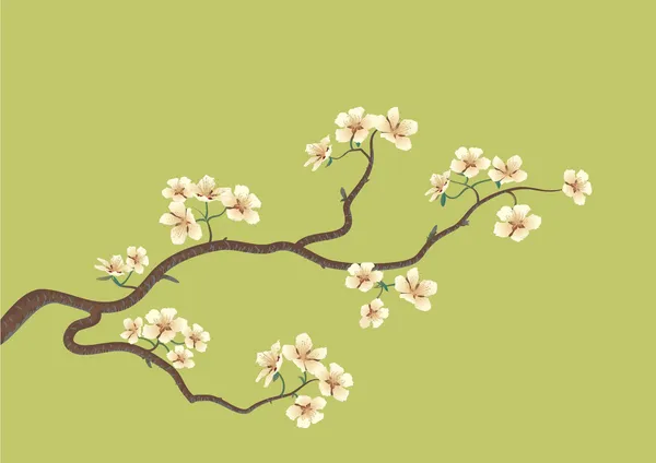 Bloemrijke sakura — Stockvector