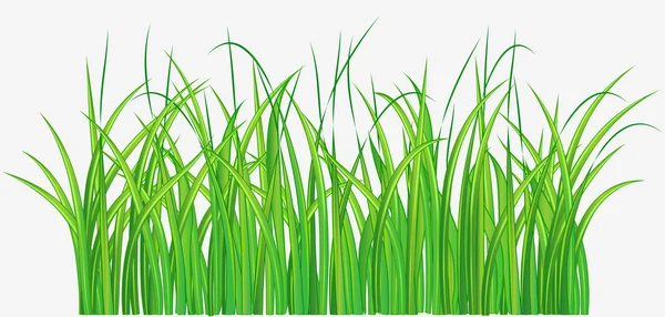 Травяное поле — стоковый вектор