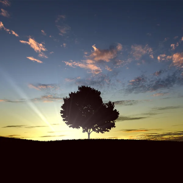 Ensamt träd vid horisonten — Stockfoto