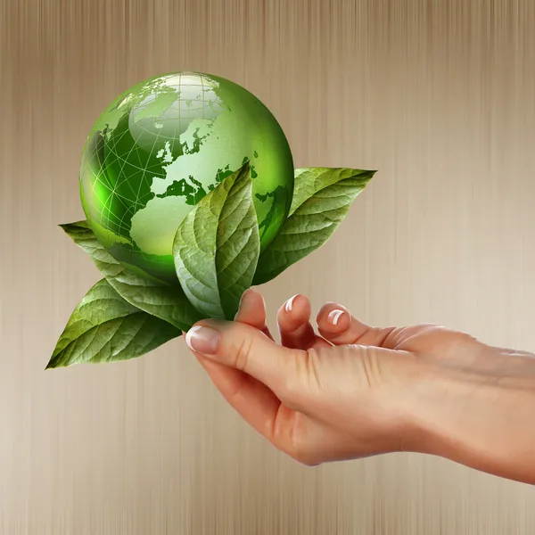Green earth with growing plant — Stock Photo, Image
