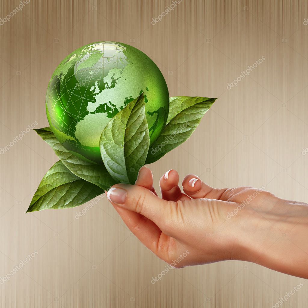 Green earth with growing plant — Stock Photo © SergeyNivens 5425350