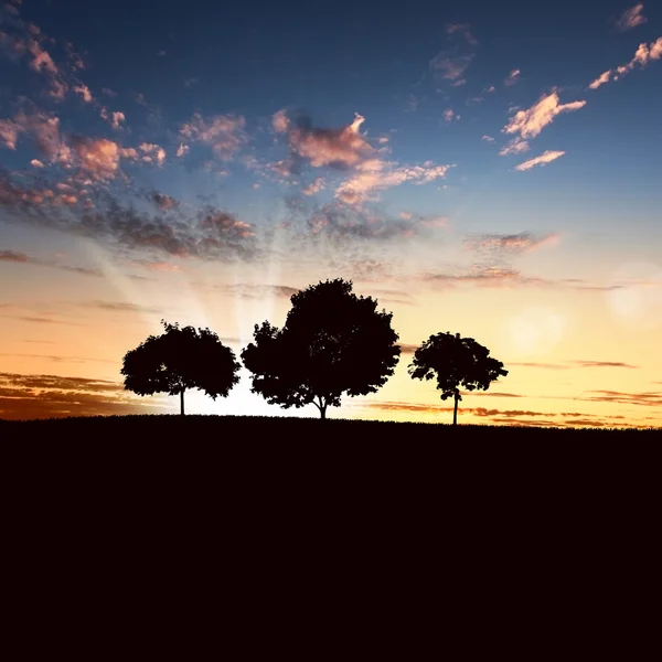 Osamělý strom na obzoru — Stock fotografie