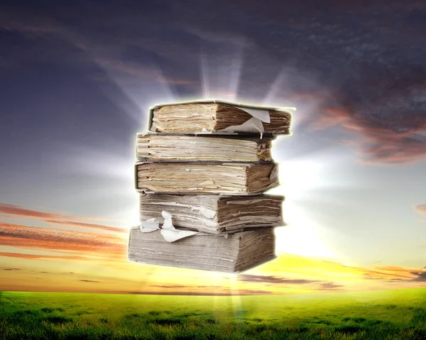 Book and nature — Stock Photo, Image