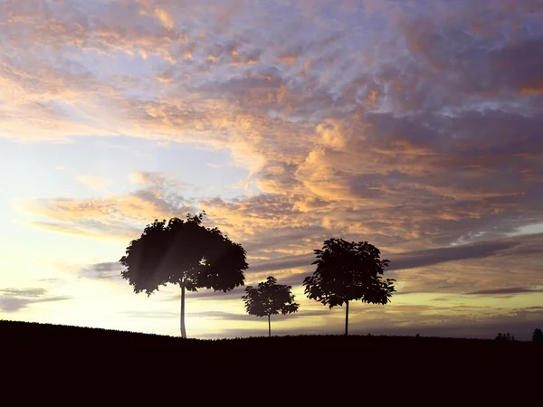 Lonely tree on the horizon — Zdjęcie stockowe
