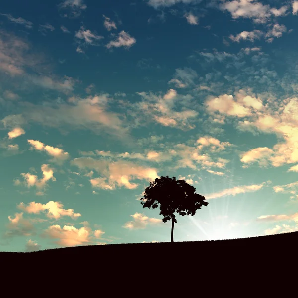 地平線上の孤独な木 — ストック写真