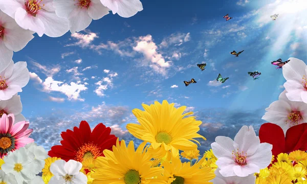 Beautiful flowers against the blue sky — Stock Photo, Image