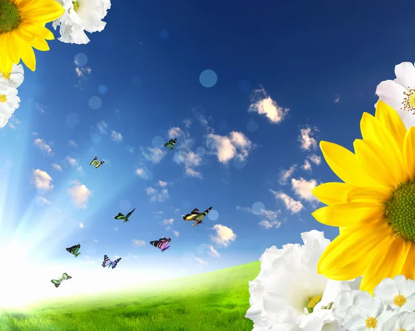 Krásné květiny proti modré obloze — 图库照片