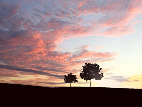 Ensamt träd vid horisonten — Stockfoto