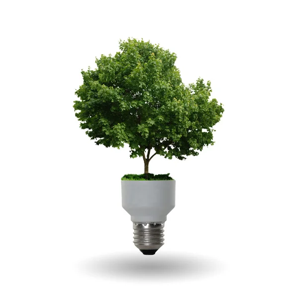 Bulb with a tree — Stock Photo, Image