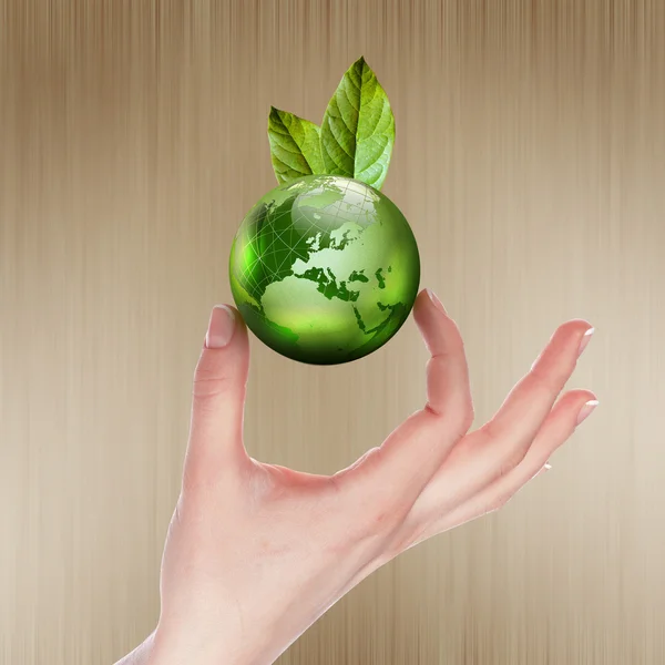 Grüne Erde mit wachsender Pflanze — Stockfoto