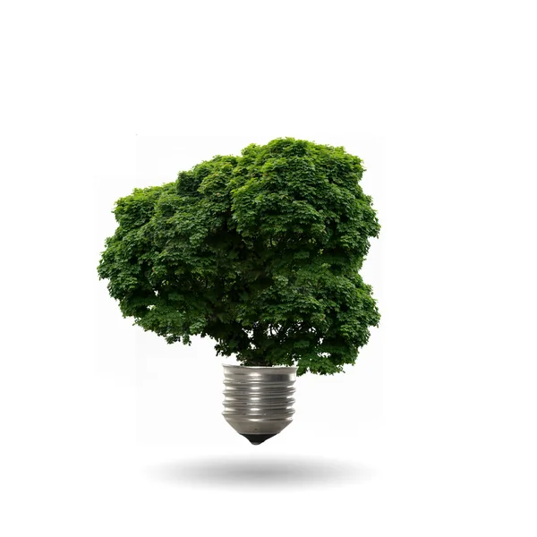 Lamp met een boom — Stockfoto
