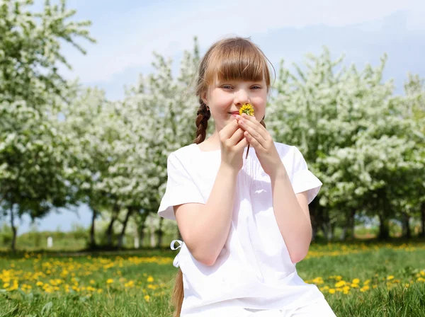 stock image Little girl in spring park