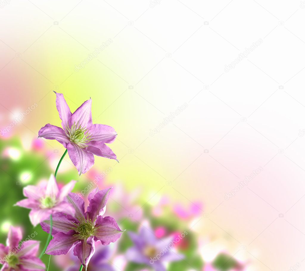 Colourful flower background Stock Photo by ©SergeyNivens 5761135
