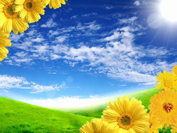 Beautiful flowers against the blue sky. Landscape.