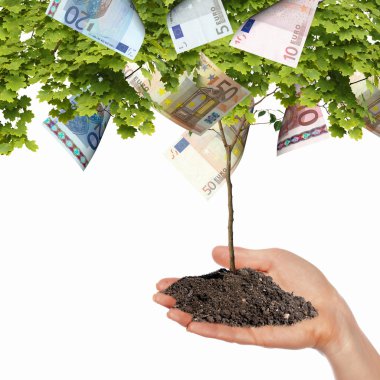 Money Tree clipart