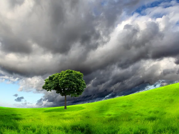 Přírodní krajina s mraky — Stock fotografie