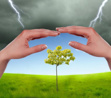 Human hands protecting tree clipart