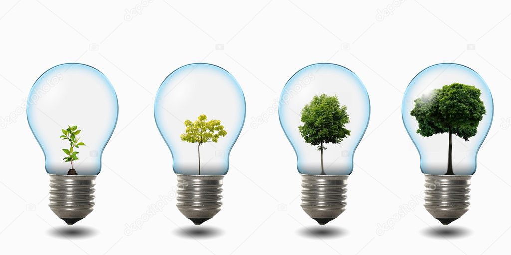 Light bulb with nature