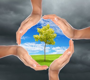 insan elinin ağaç koruma