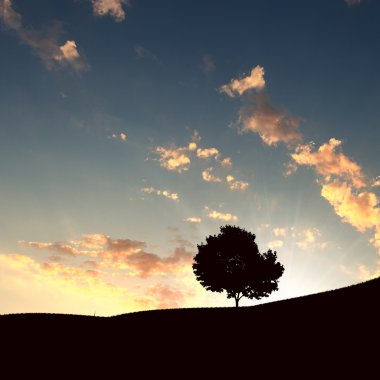 Lonely tree and sunset clipart