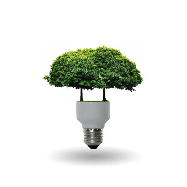 Lamp met een boom — Stockfoto
