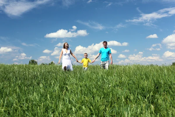 Família com filho no prado Imagem De Stock